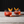 Load image into Gallery viewer, Bluecoat Negroni Glass Set
