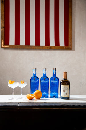 Bluecoat Martini Kit - Bluecoat Bottle Shop by Philadelphia Distilling